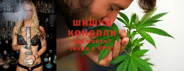 индика Иннополис