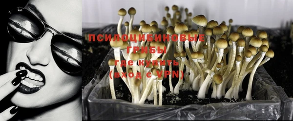 прущие крисы Абдулино