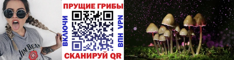 Псилоцибиновые грибы Psilocybine cubensis Шарья